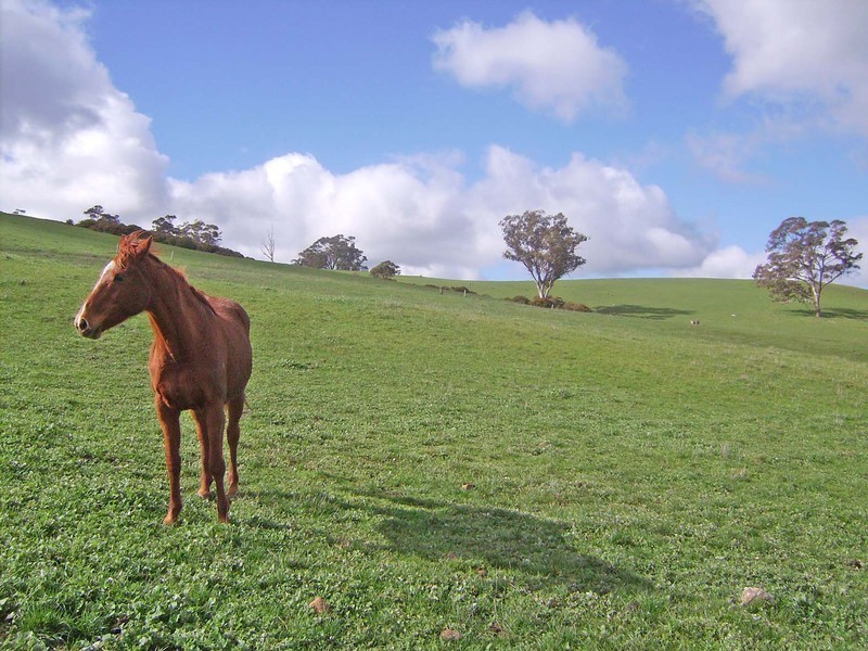 Lot 5 Mattner Road, Balhannah SA 5242