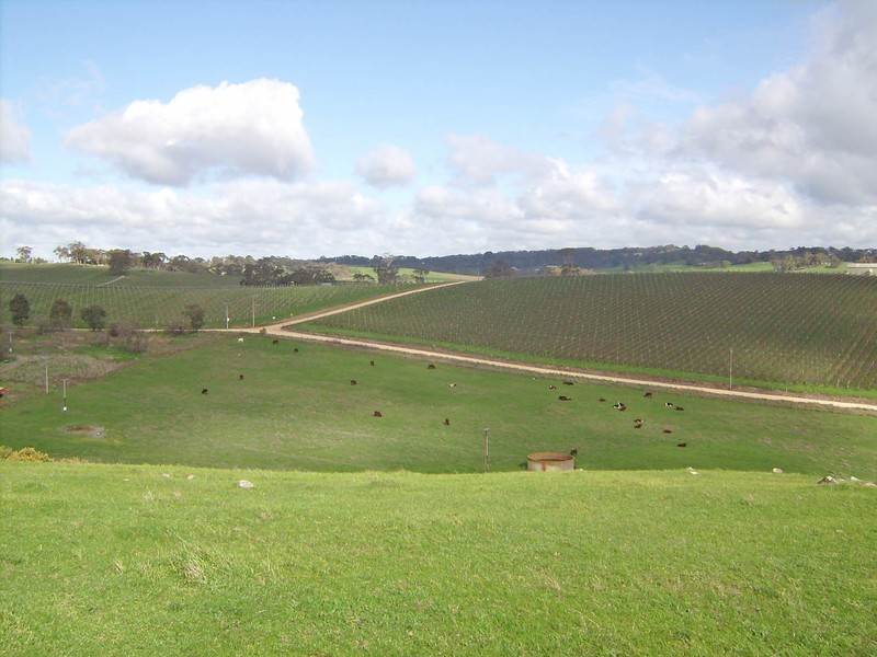 Lot 5 Mattner Road, Balhannah SA 5242