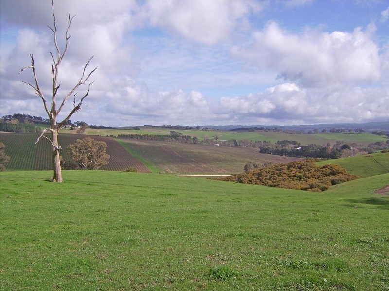 Lot 5 Mattner Road, Balhannah SA 5242