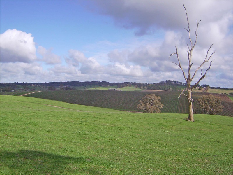 Lot 5 Mattner Road, Balhannah SA 5242