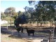 Lot 5 Schwab Street, Harrogate SA 5244