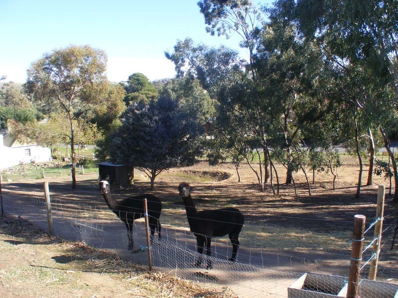 Lot 5 Schwab Street, Harrogate SA 5244