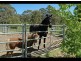 Lot 71 Greenhill Road, Balhannah SA 5242