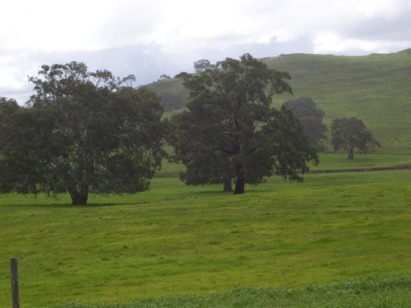 35/Lot 35 Mount Torrens To Tungkillo Road, Tungkillo SA 5236