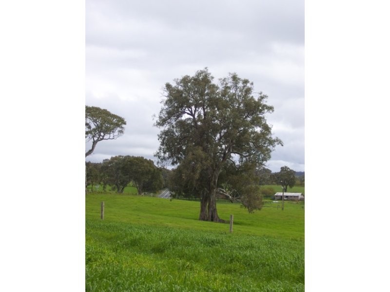 35/Lot 35 Mount Torrens To Tungkillo Road, Tungkillo SA 5236