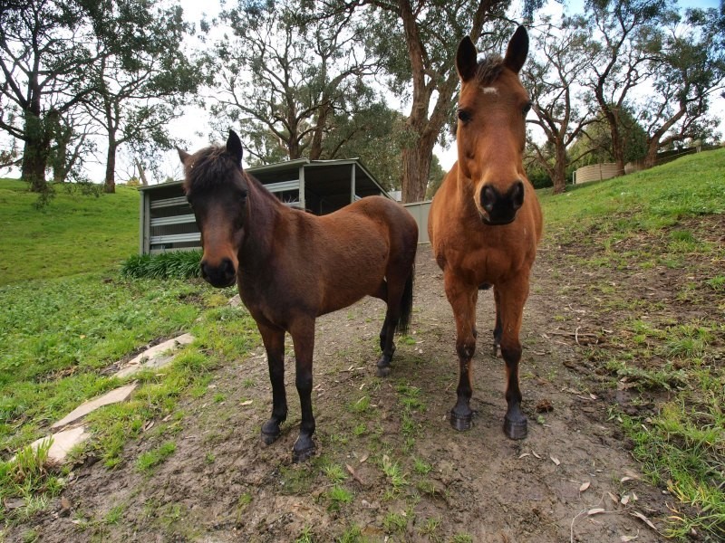 Lot 101 Totness Road, Hahndorf SA 5245