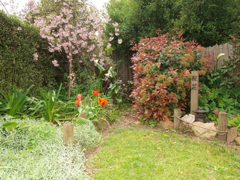 31 Newman Road, Charleston SA 5244