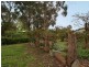 31 Newman Road, Charleston SA 5244