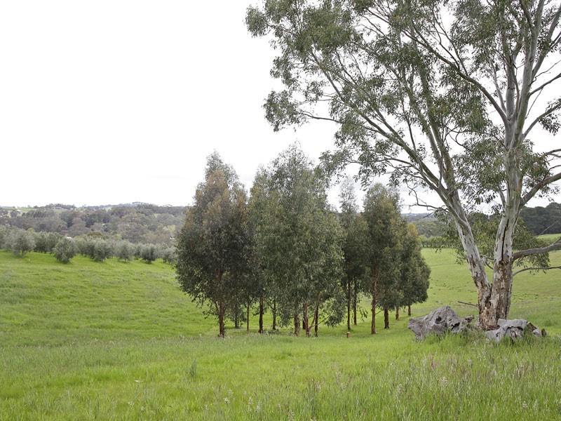 Lot 7 Oakwood Road, Oakbank SA 5243