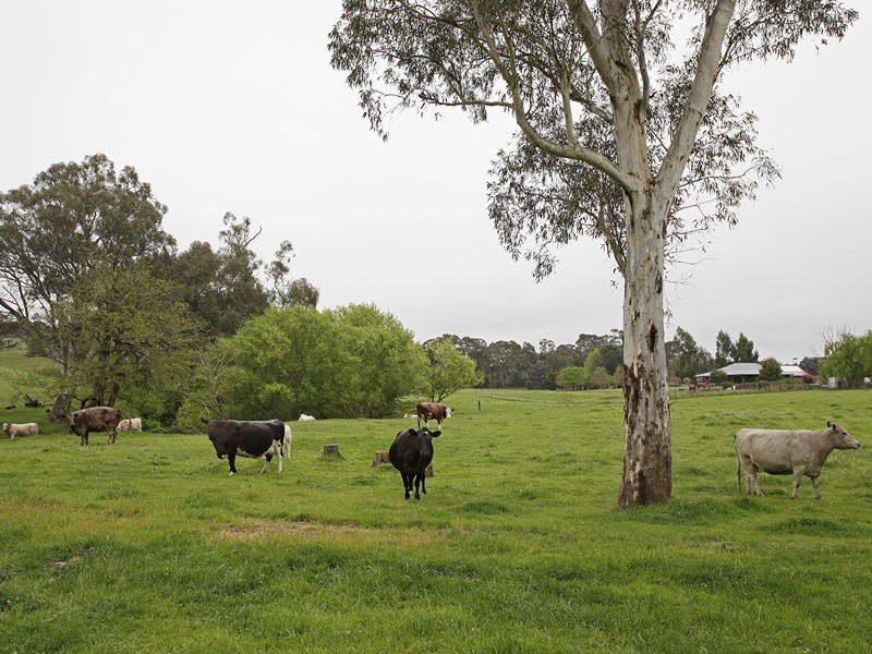 187 Onkaparinga Valley Road, Oakbank SA 5243