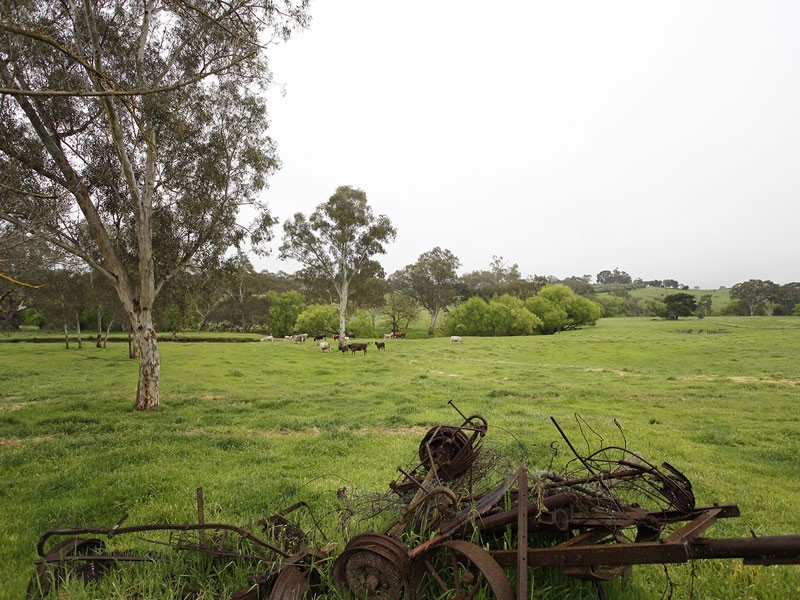 187 Onkaparinga Valley Road, Oakbank SA 5243