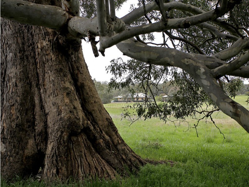 Lot 11 Burfords Hill Road, Mount Torrens SA 5244