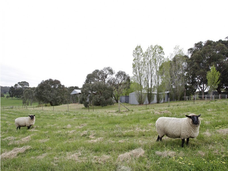 Lot 11 Burfords Hill Road, Mount Torrens SA 5244