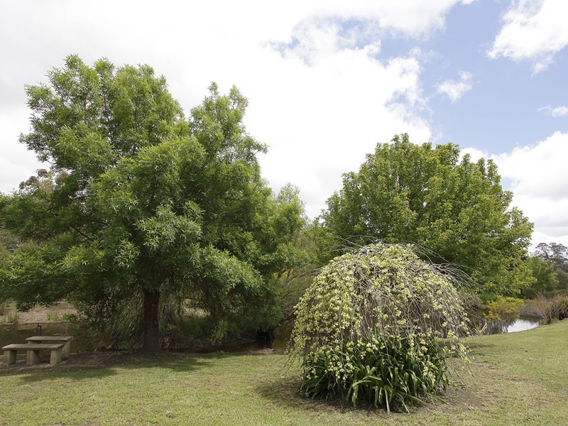Lot 52 Paechtown Road, Hahndorf SA 5245