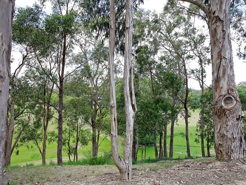 20 Hollidays Road, Summertown SA 5141