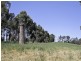 Lots 9 and 10 Pfeiffer Road, Woodside SA 5244