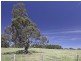 Lots 9 and 10 Pfeiffer Road, Woodside SA 5244