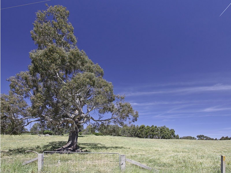 Lots 9 and 10 Pfeiffer Road, Woodside SA 5244