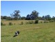 Lot 321 Hirthe Road, Mount Torrens SA 5244
