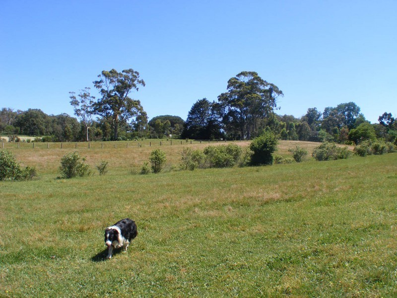 Lot 321 Hirthe Road, Mount Torrens SA 5244