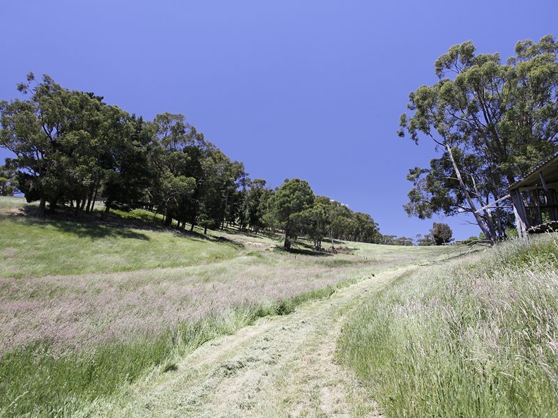 Lot 92 Ostigh Road, Carey Gully SA 5144