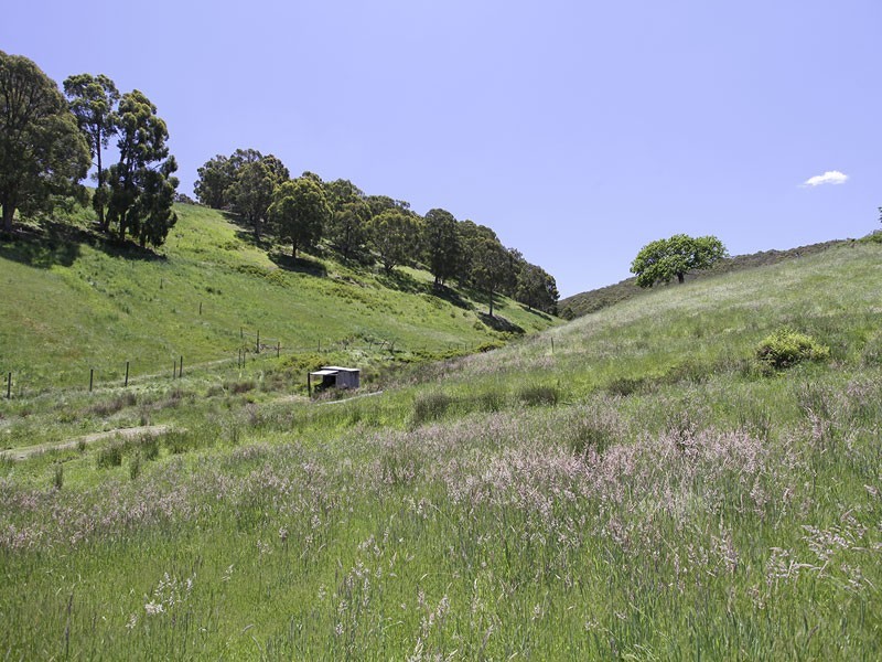 Lot 92 Ostigh Road, Carey Gully SA 5144