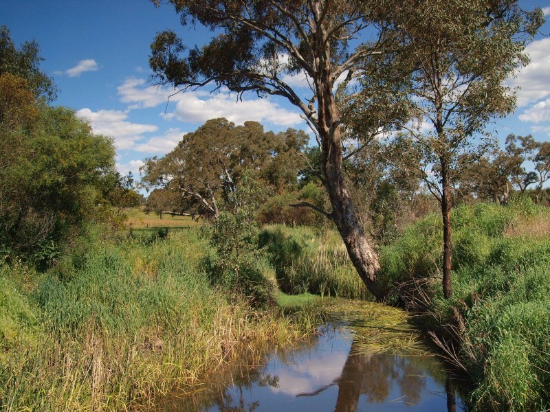 Lot 52 Shillabeer Road, Oakbank SA 5243