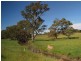 Lot 52 Shillabeer Road, Oakbank SA 5243
