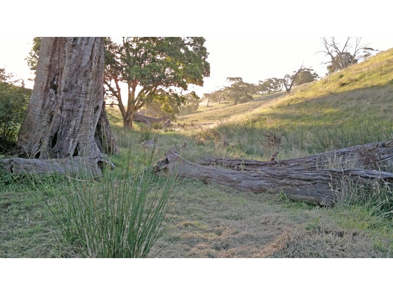 Lot 102 The Glen Road, Harrogate SA 5244