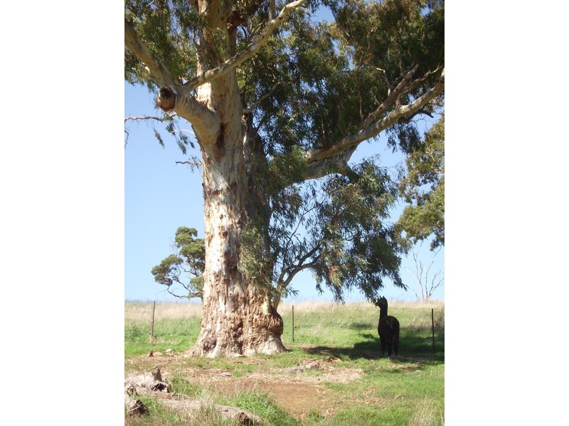 Lot 102 The Glen Road, Harrogate SA 5244