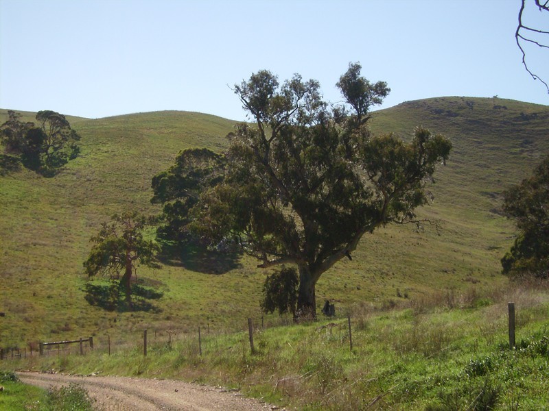 Lot 102 The Glen Road, Harrogate SA 5244