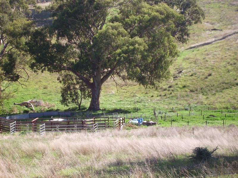 Lot 102 The Glen Road, Harrogate SA 5244