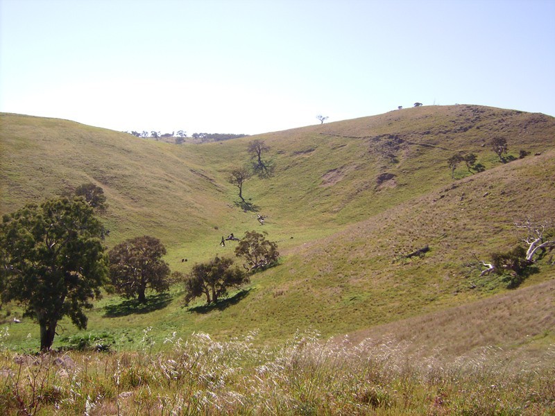 Lot 102 The Glen Road, Harrogate SA 5244