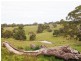 Lot 11 Hollows Road, Charleston SA 5244