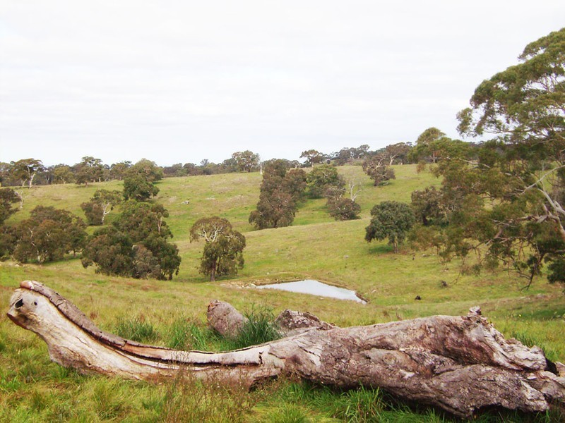 Lot 11 Hollows Road, Charleston SA 5244