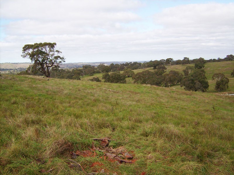 Lot 11 Hollows Road, Charleston SA 5244