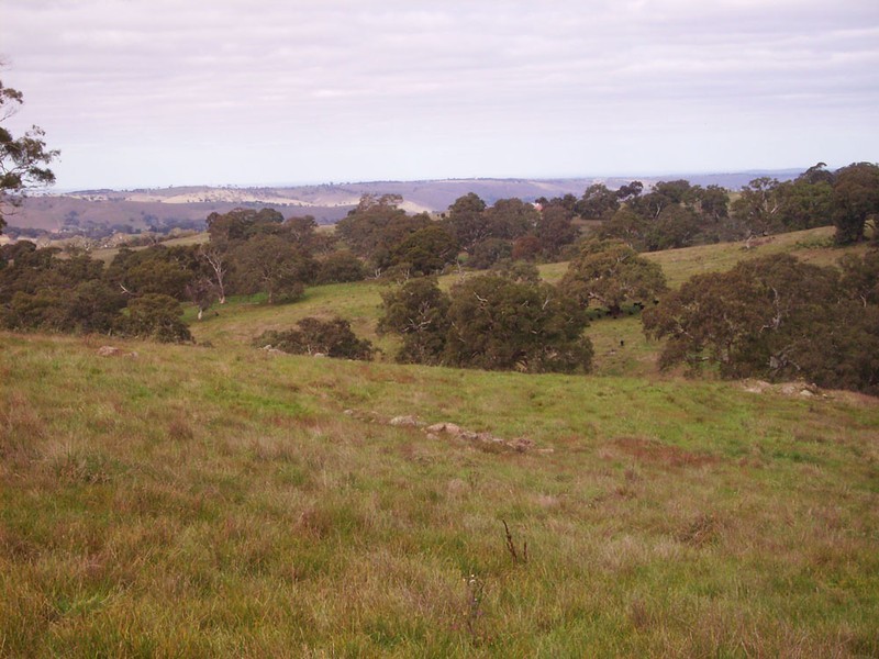 Lot 11 Hollows Road, Charleston SA 5244