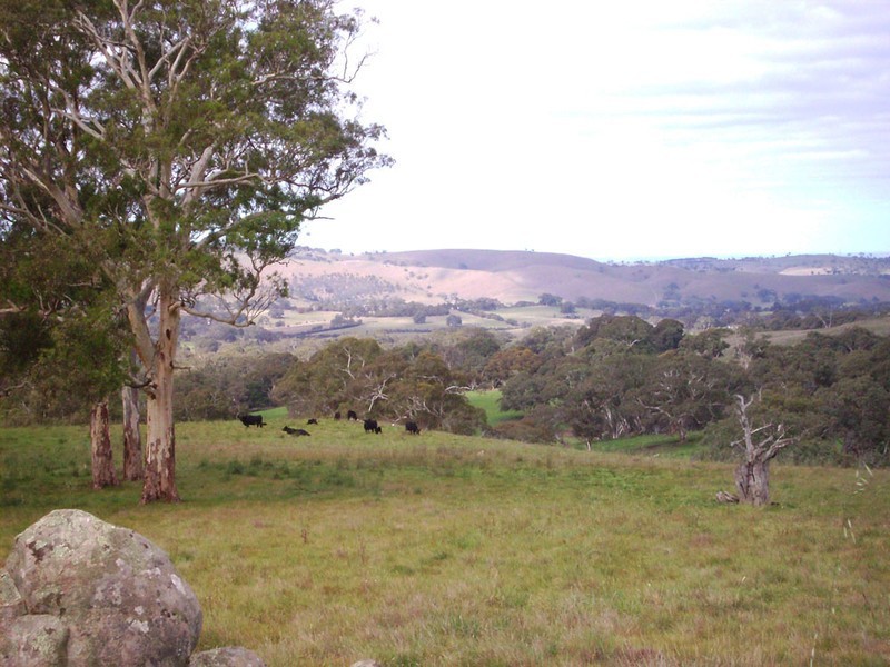 Lot 11 Hollows Road, Charleston SA 5244