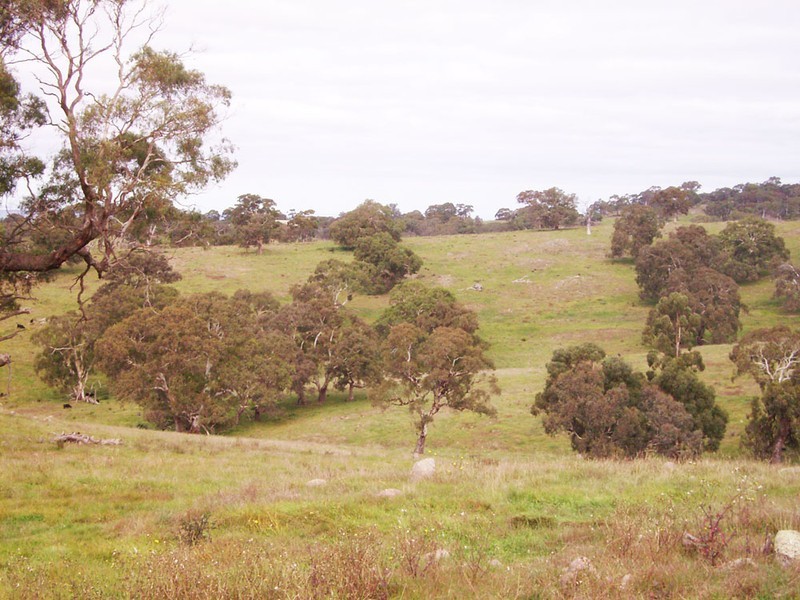 Lot 11 Hollows Road, Charleston SA 5244