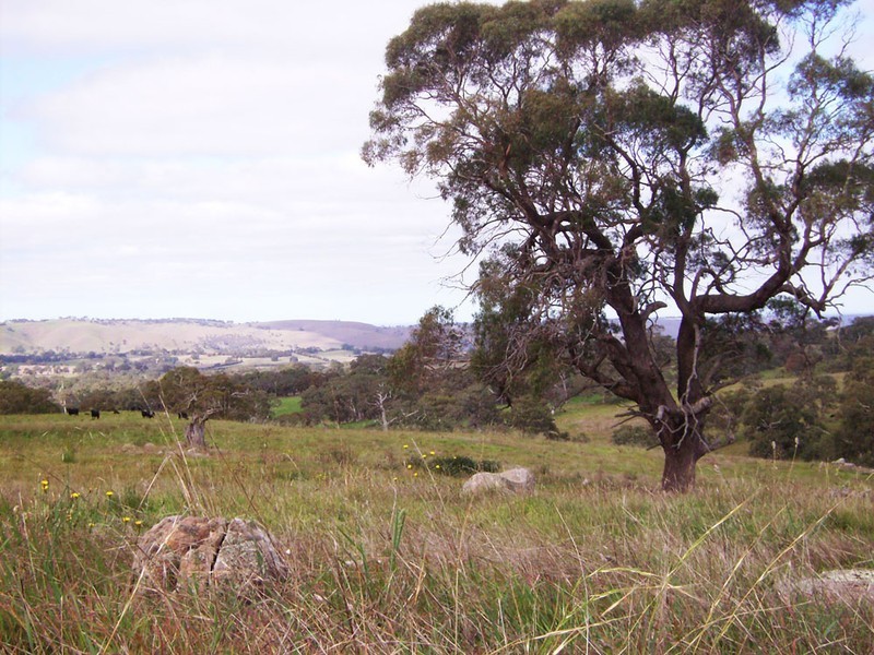 Lot 11 Hollows Road, Charleston SA 5244