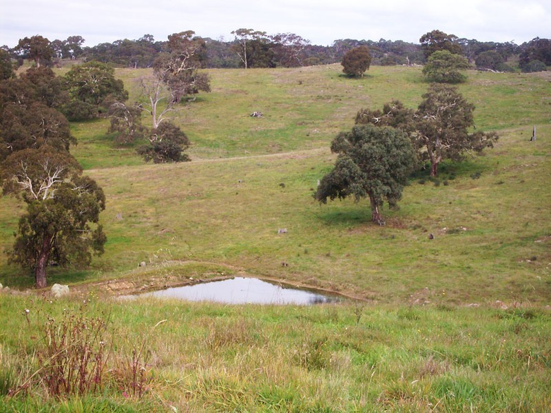 Lot 11 Hollows Road, Charleston SA 5244