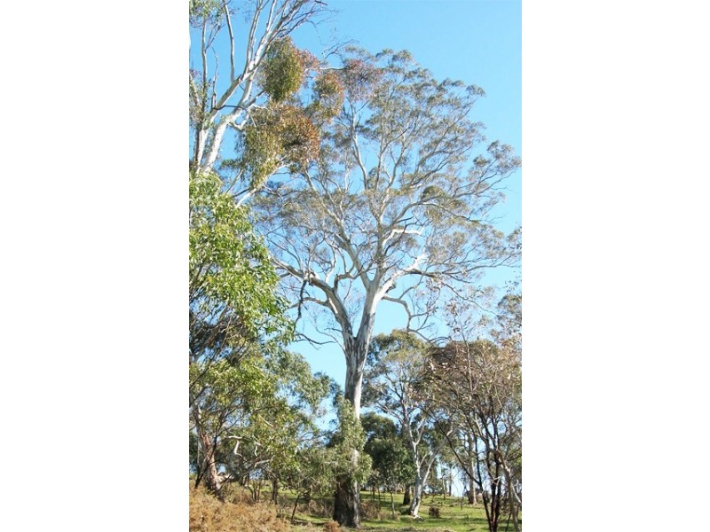 Lot 1 Hammers Road, Mount Torrens SA 5244