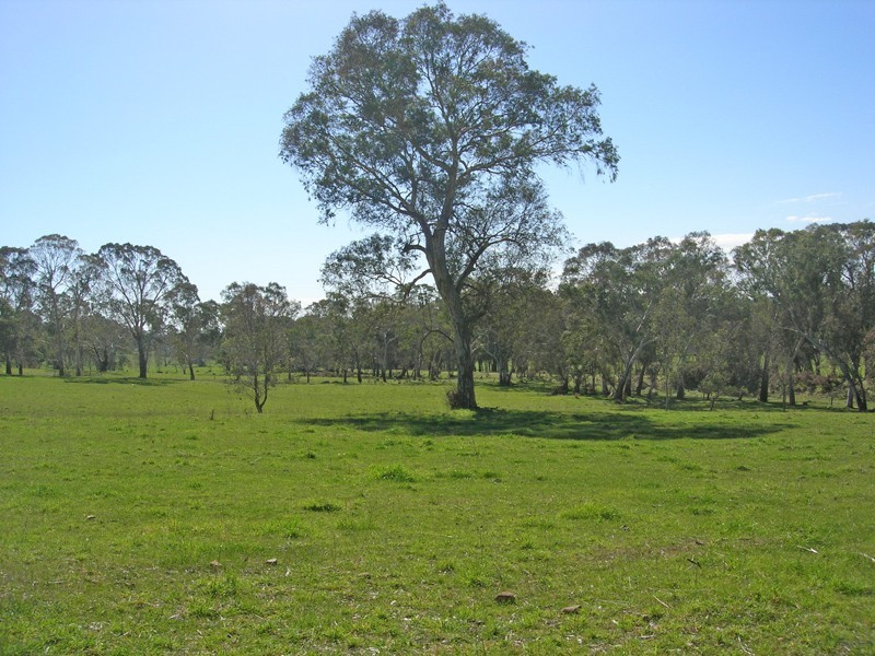 Lot 1 Hammers Road, Mount Torrens SA 5244