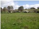 91 Size Road, Oakbank SA 5243