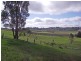 91 Size Road, Oakbank SA 5243