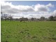 91 Size Road, Oakbank SA 5243