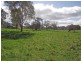 91 Size Road, Oakbank SA 5243