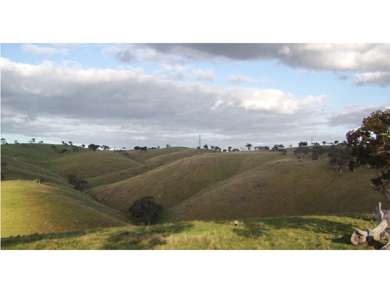 Lot 2 Range Road (off Steep Hill Road), Harrogate SA 5244