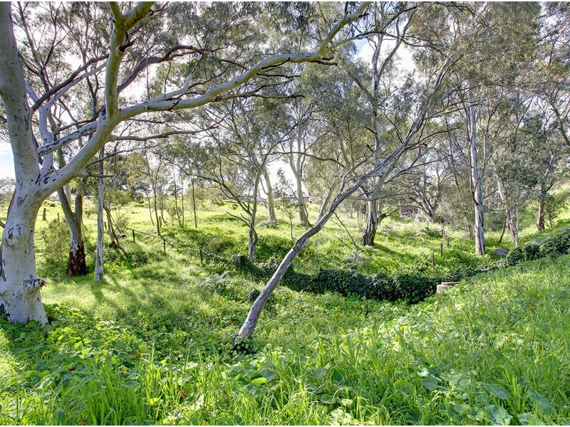 Lot 101 Port Lincoln Blvd, Pasadena SA 5042