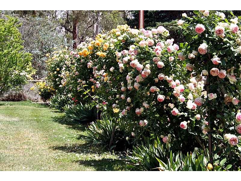 362 Oakwood Road, Oakbank SA 5243